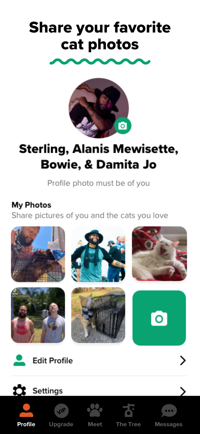 Tabby Cat Persons Dating App