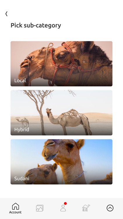 Suhail Platform screenshot-3