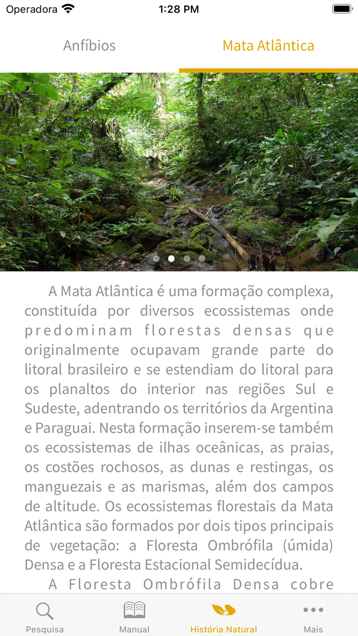 Anfíbios da Mata Atlântica