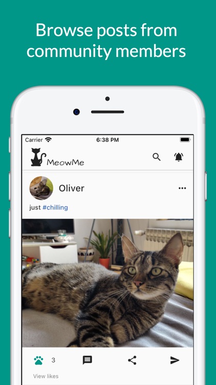 MeowMe - Cat Social Network