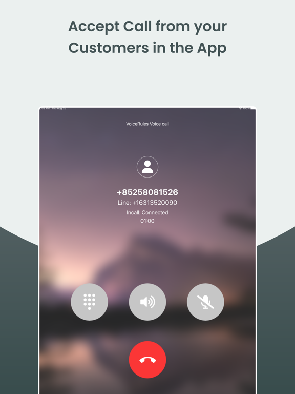 Virtual Business Phone Number screenshot 2