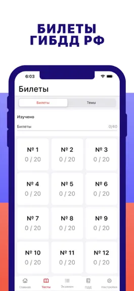 Game screenshot Экзамен ПДД. 2021 apk