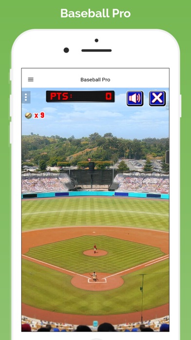 Baseball Pro* screenshot 3