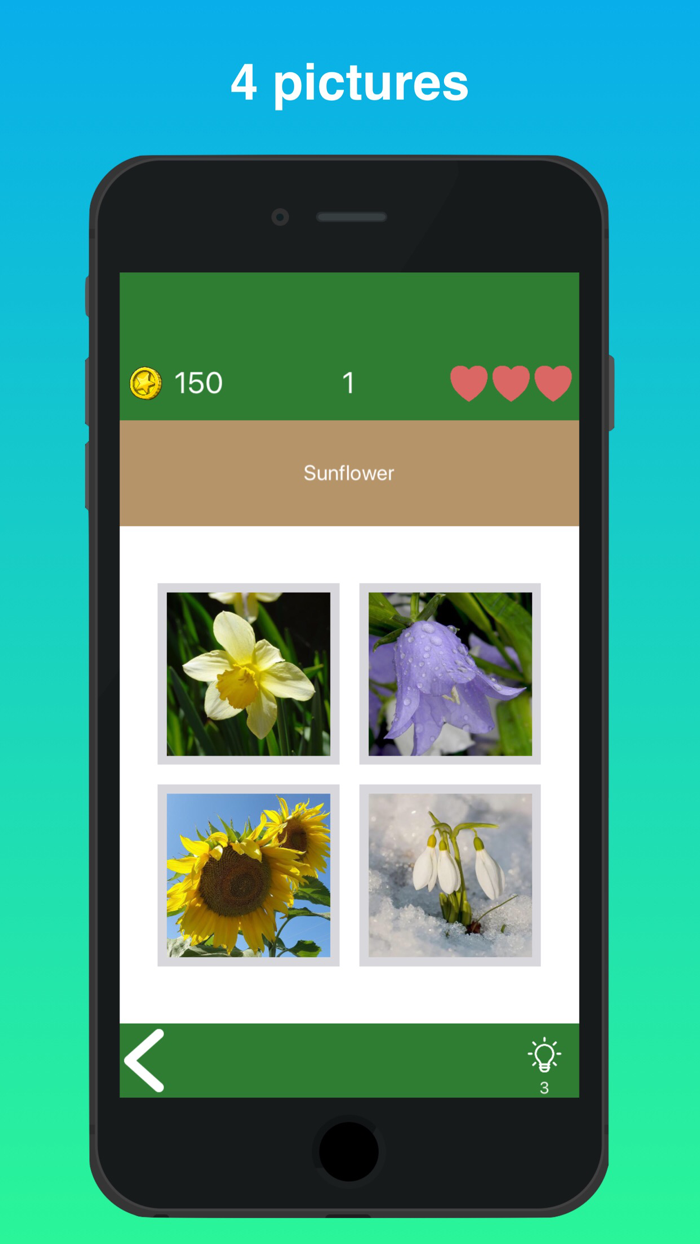 Quiz Flowers guess one answer