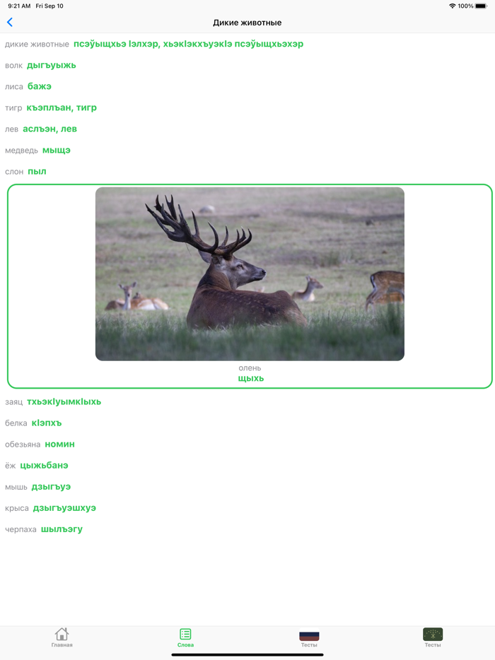 Словарь по кабардинскому