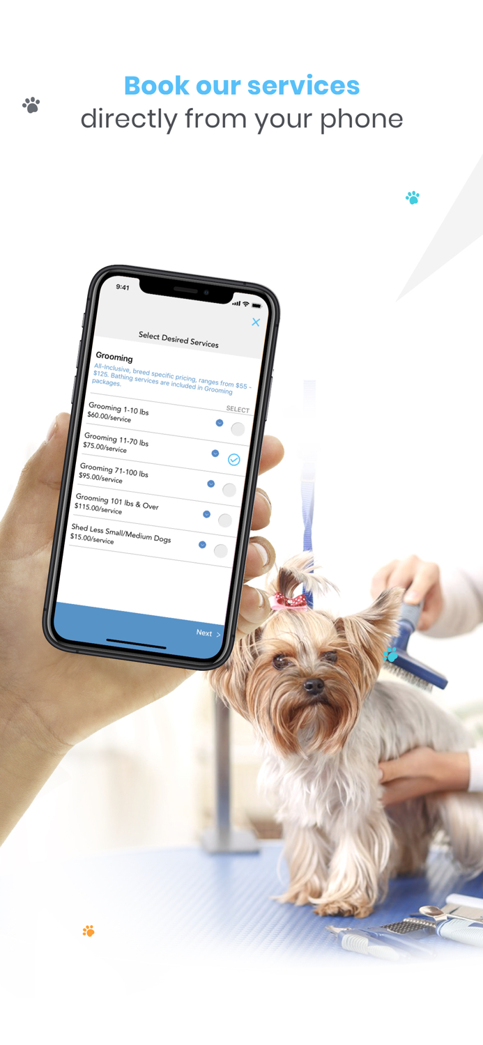 Foxy Roxys Doggy Dayout