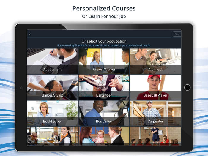 Bluebird Learn Dutch