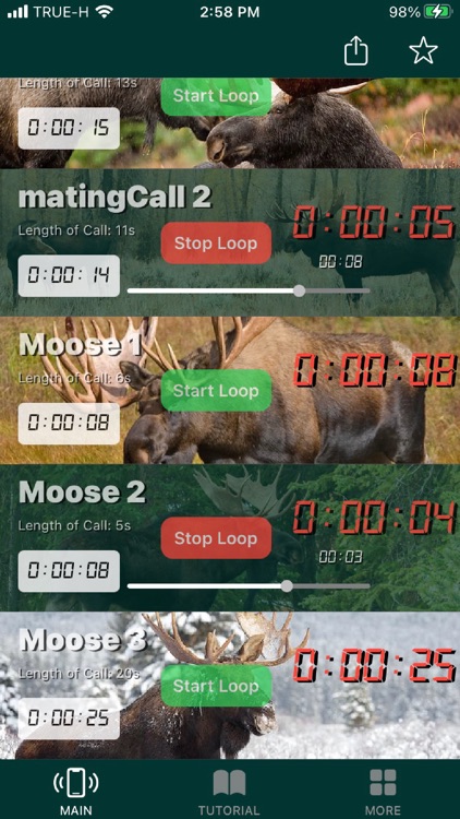 Moose Calls for Bull Hunter