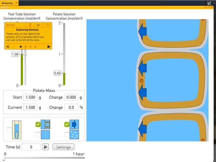 Science SuperLab - Primary screenshot-7