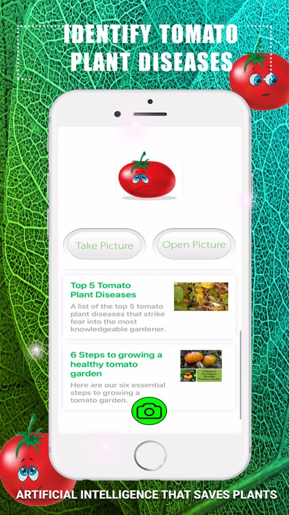 Identify Tomato Plant Diseases screenshot-0