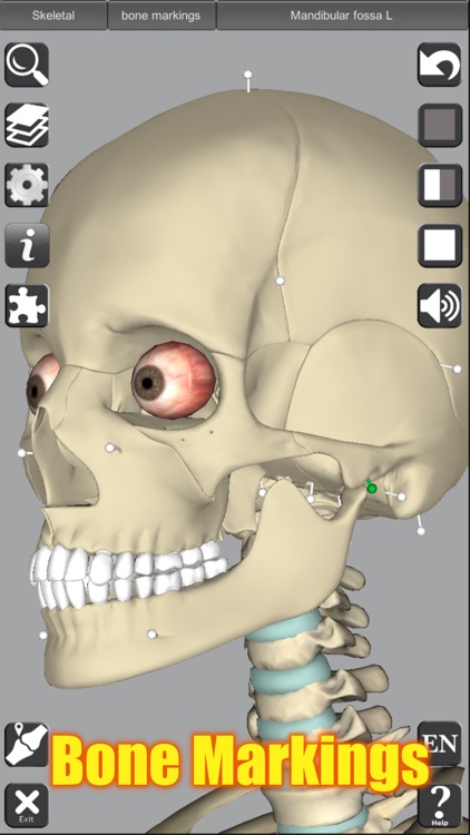 3D Anatomy screenshot-8