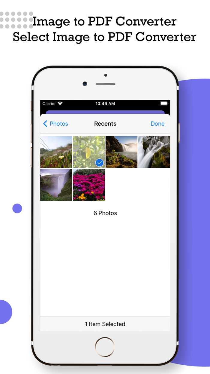 PDF to Image Converter