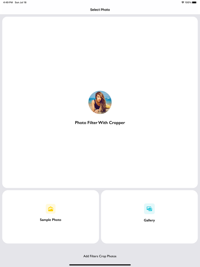 Photo Filter With Cropper