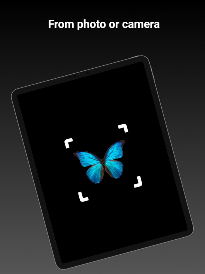 Bug Identifier - Insect ID