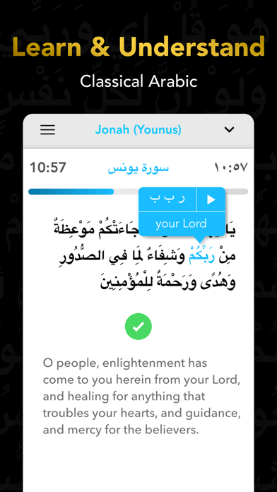 Quran Study Learn Word by Word screenshot 2
