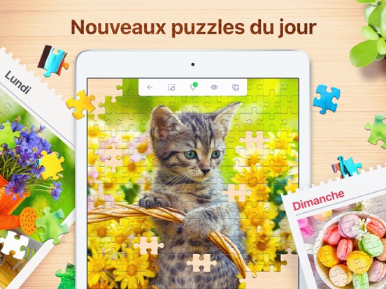 Puzzles - Casse-têtes logiques Puzzles - Casse-têtes logiques
