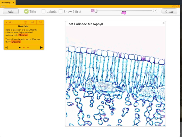 Science SuperLab - Secondary screenshot-6