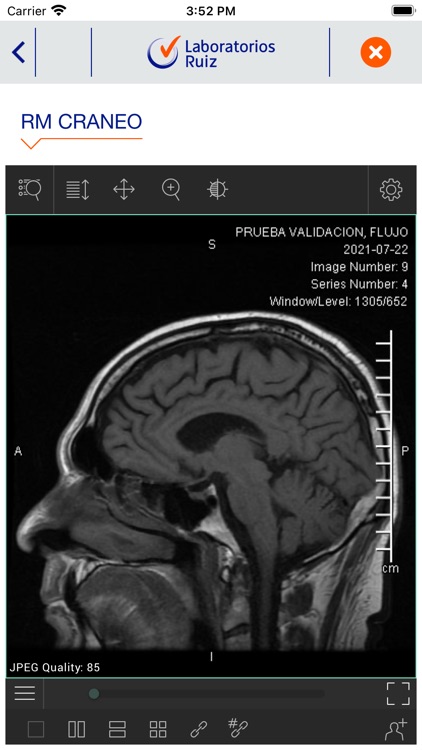 Laboratorios Ruiz screenshot-6