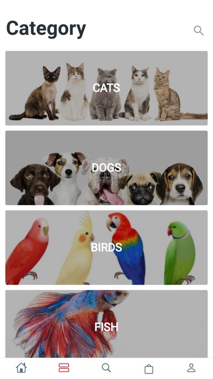 Dr.Pets screenshot-3