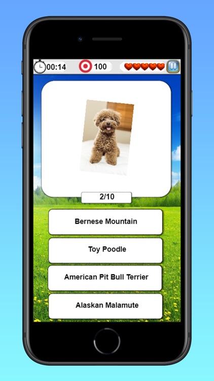 Cats & Dogs Quiz-Guess Breeds screenshot-4