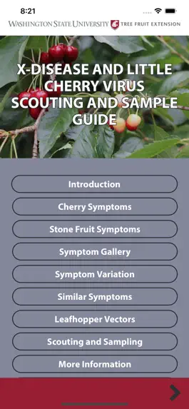Game screenshot Little Cherry Scouting Guide mod apk