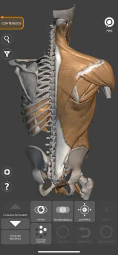 Captura de Pantalla 4 Anatomía 3D para el artista 2 iphone