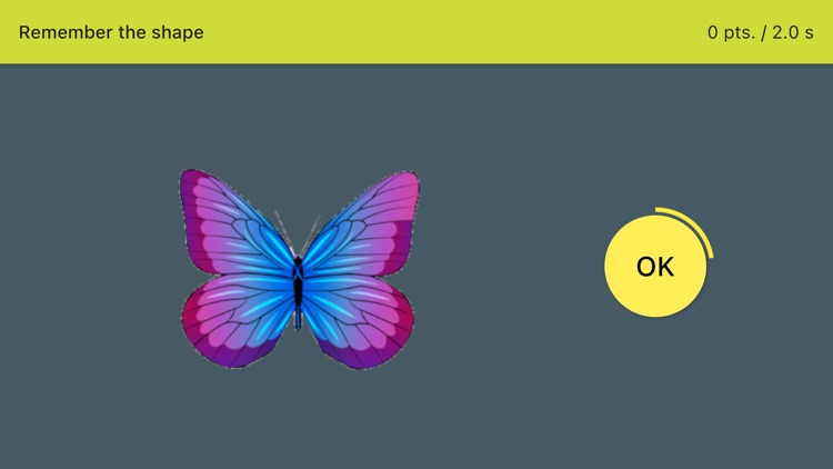 Shapes of Butterflies screenshot-6