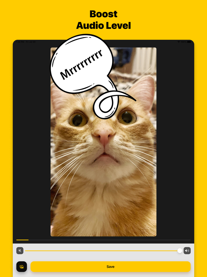 Mute Up Remove Audio Sound