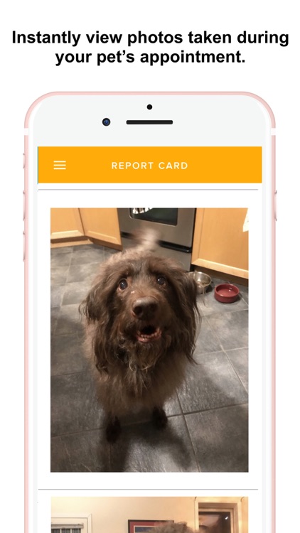 Maggie's Mates screenshot-4