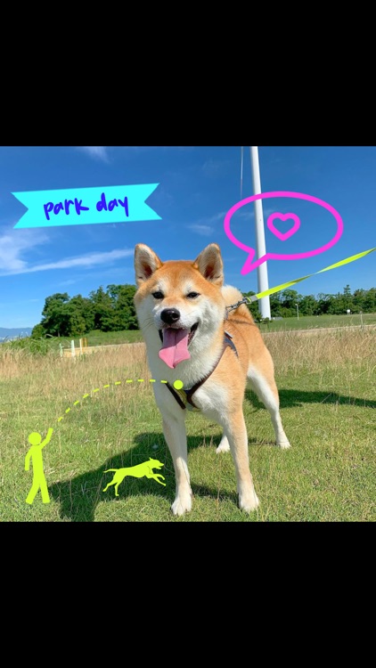 MyPuppy: Cute Dog Photo Maker screenshot-8