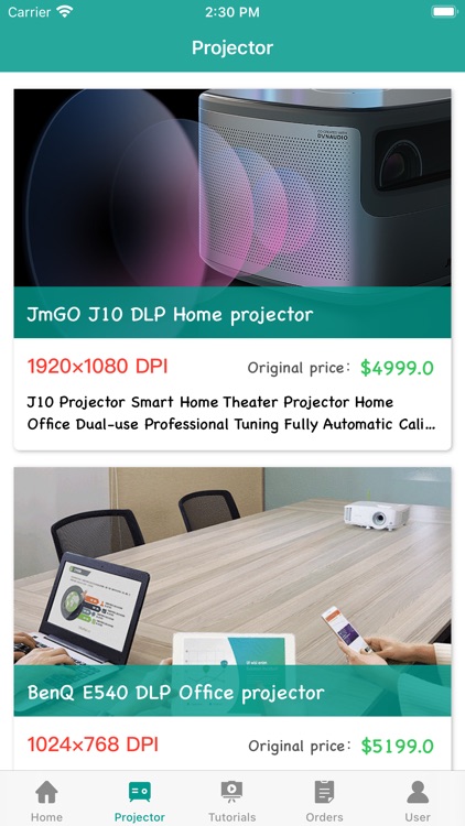 Bliss Projector Lease