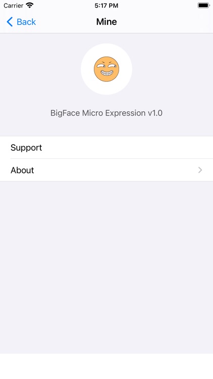BigFace Micro Expression