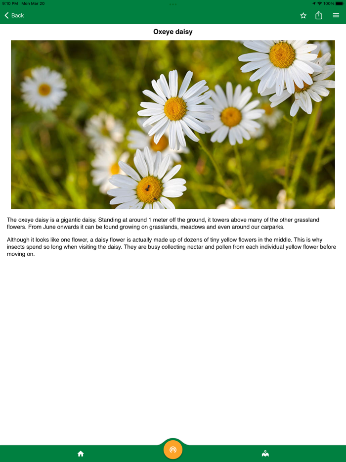 Londonthorpe Woods  Bellmount