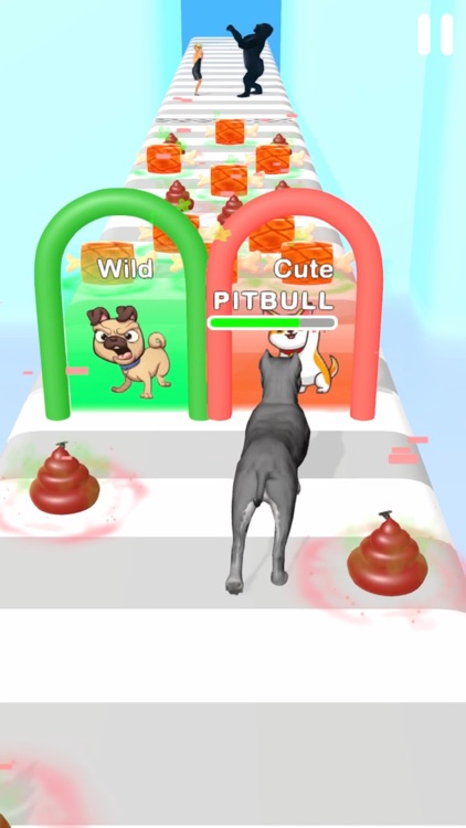 Animal Run 3D!! screenshot-4