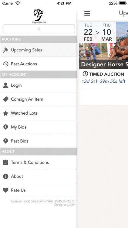 Designer Horse Sales