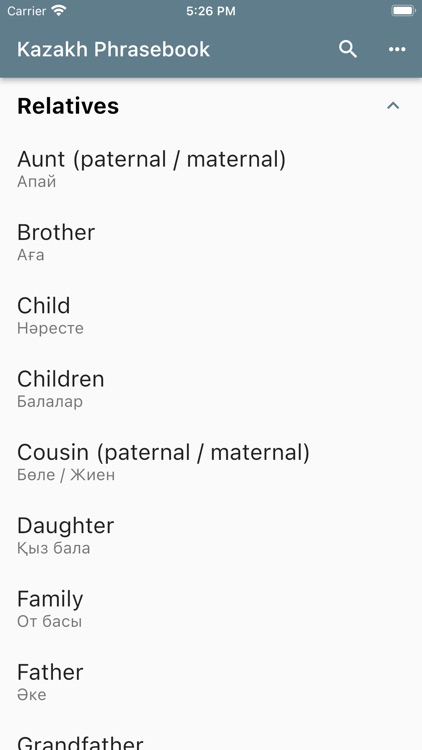 Kazakh Phrasebook screenshot-3