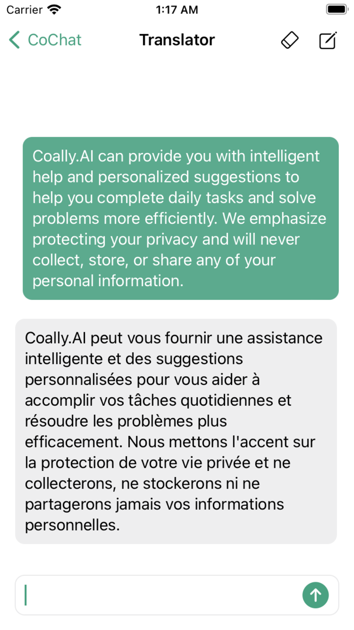 Coally - Private AI