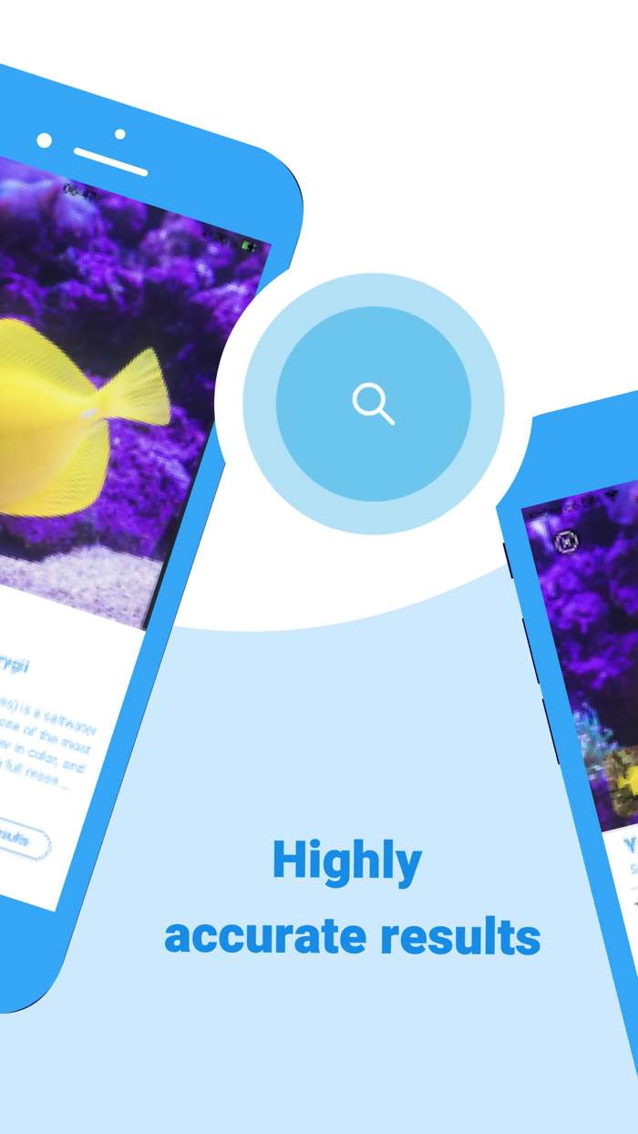 Fish identifier  find Fish