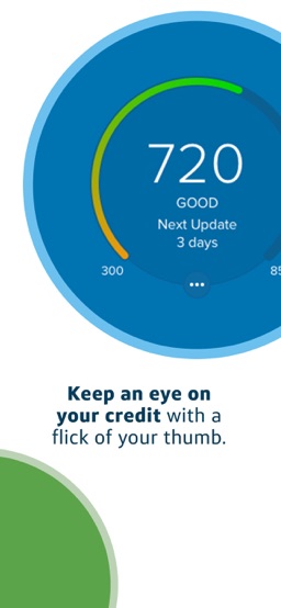 Capital One Mobile app screenshot
