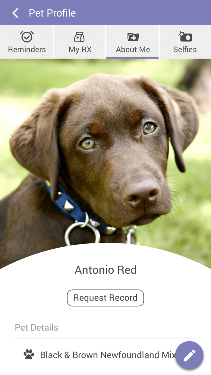 Upper East Veterinary Center