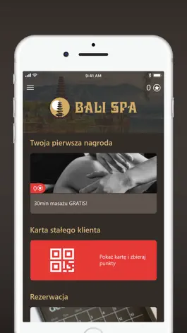 Game screenshot Bali SPA apk