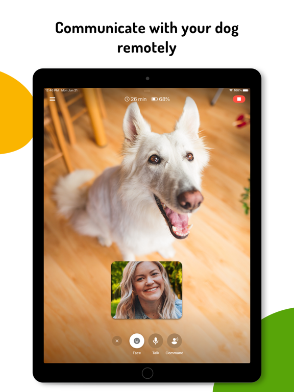 Barkio: Dog Monitor & Pet Cam Ipad images