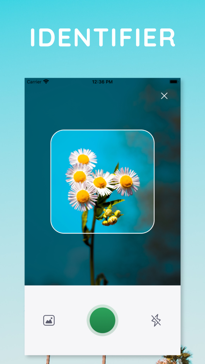 The Plant Identification App