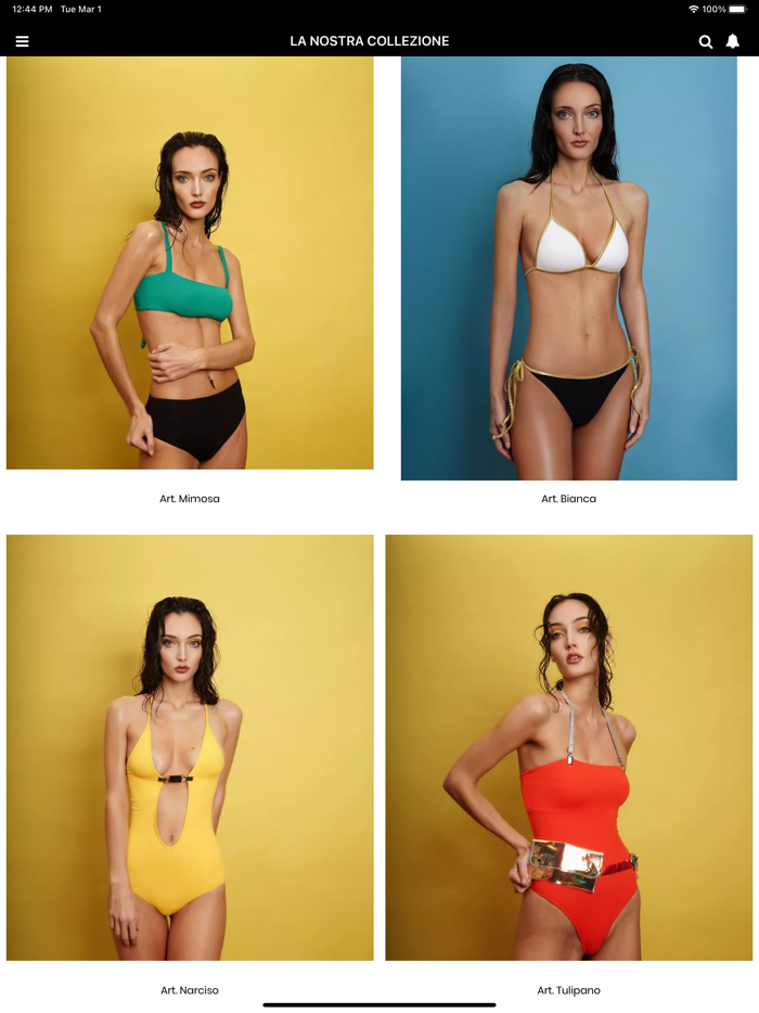 MS Marcella Spagnolo