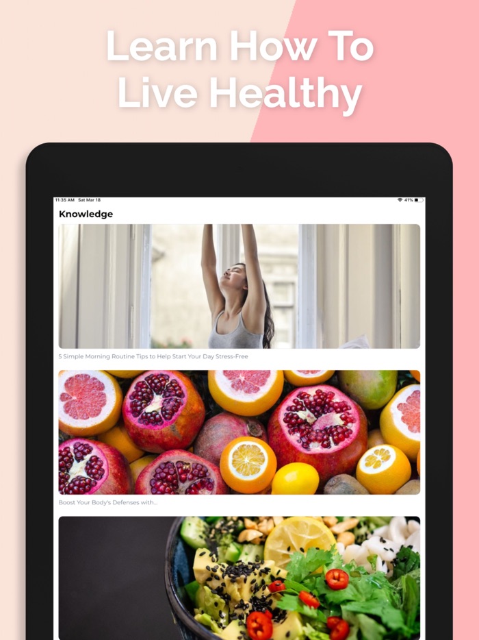 FitWise Diet Tracker