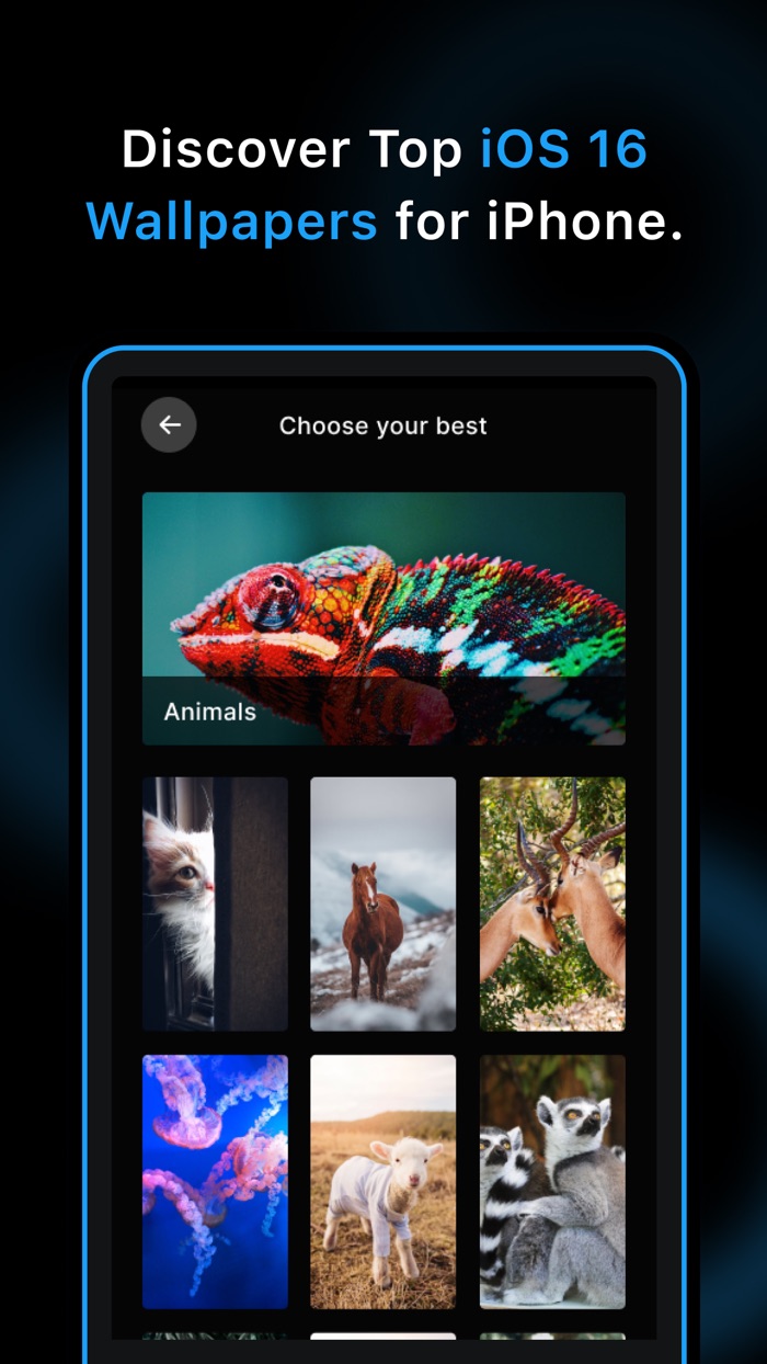 Wallpapers - OS 16 Backgrounds
