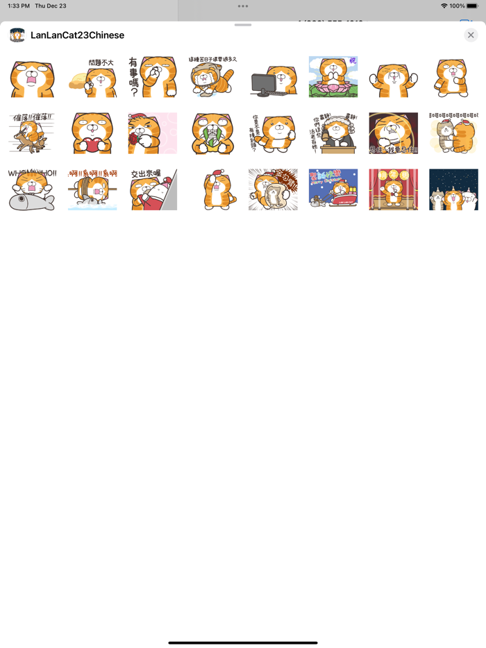 白爛貓 23 一起動