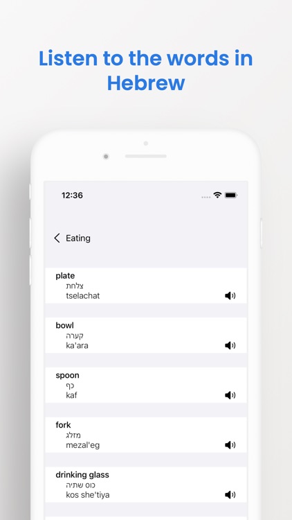 Hebrew Phrasebook (Travel)