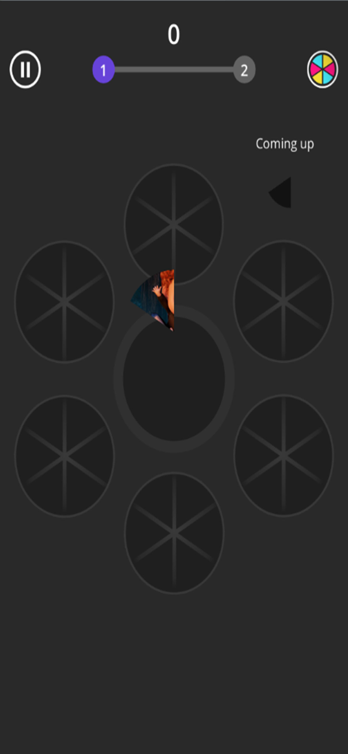 SlicesPictureAccuracy