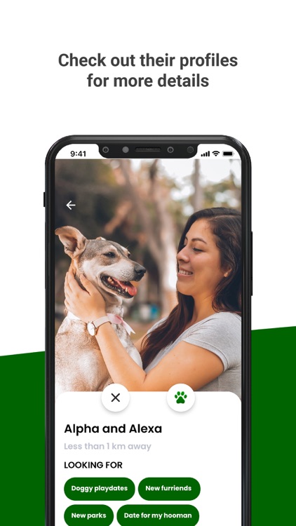 Boop - Dog Meetups and Chats